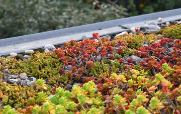 the cost of Dane In Shaw green roof installation