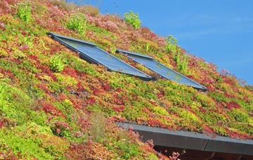 Dane In Shaw living roof systems