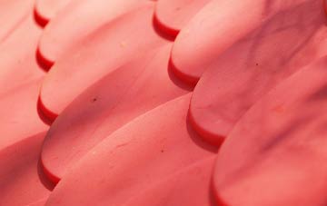 Dane In Shaw plastic roof costs