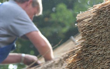 professional Dane In Shaw thatchers